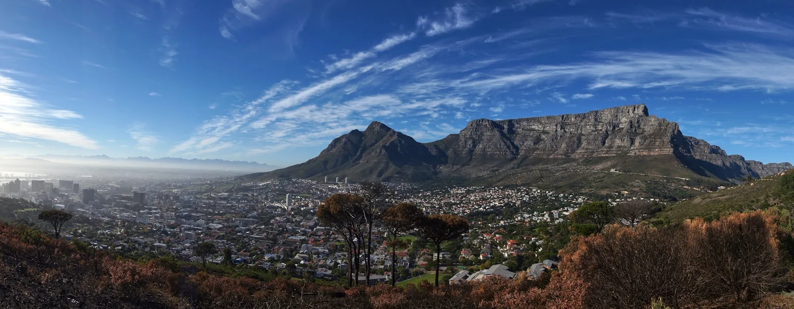 The Best Time to Visit Cape Town